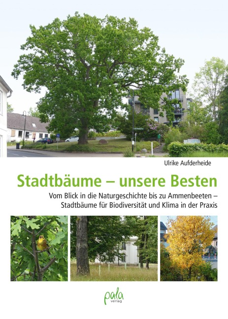 Stadtbäume - unsere Besten - Ulrike Aufderheide