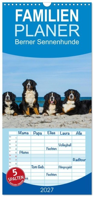 Familienplaner 2027 - Berner Sennenhund 2027 mit 5 Spalten (Wandkalender, 21 x 45 cm) CALVENDO - Sigrid Starick