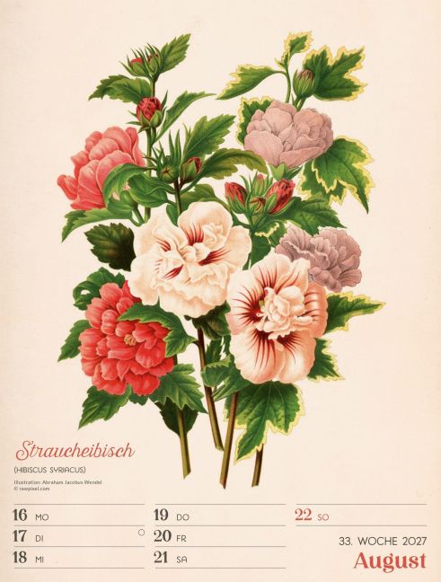 InsideView 37