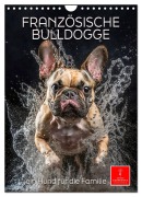 Französische Bulldogge - ein Hund für die Familie (Wandkalender 2026 DIN A4 hoch), CALVENDO Monatskalender - Peter Roder