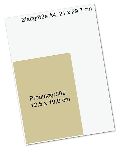 InsideView 8