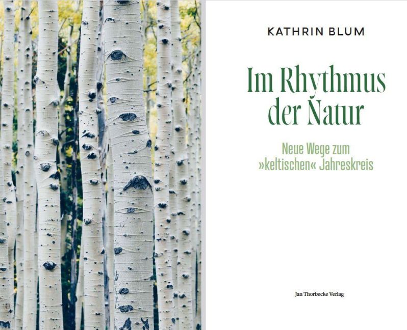 InsideView 1