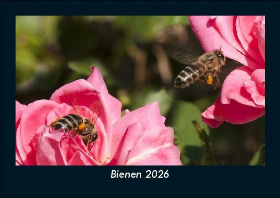 Bienen 2026 Fotokalender DIN A5 - Tobias Becker