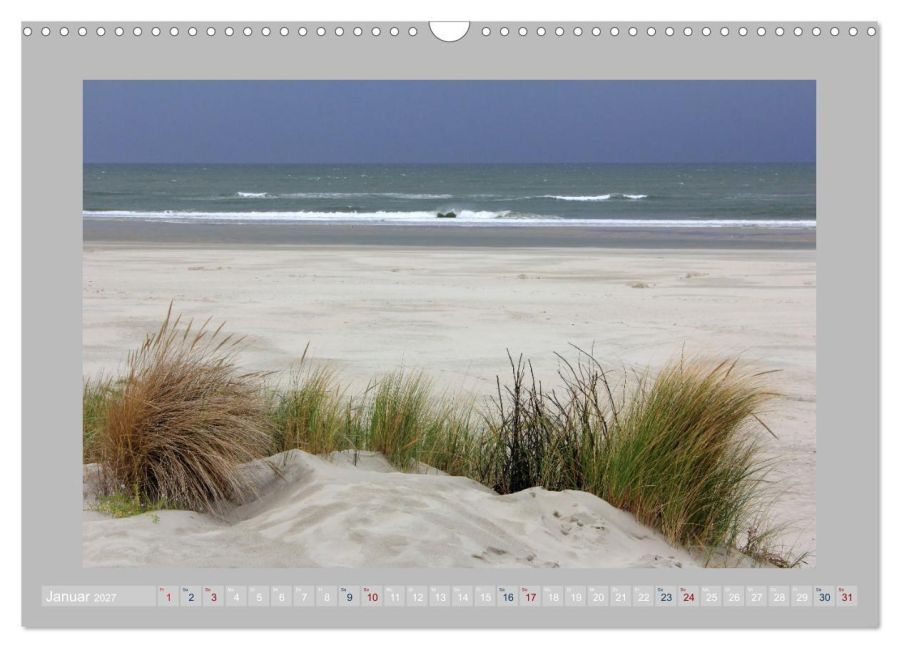 InsideView 6