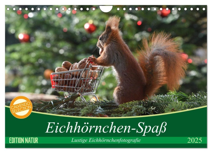Eichhörnchen-Spaß (Wandkalender 2025 DIN A4 quer), CALVENDO Monatskalender - Heike Adam