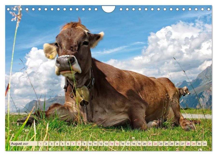 InsideView 13