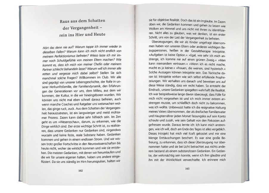 InsideView 8