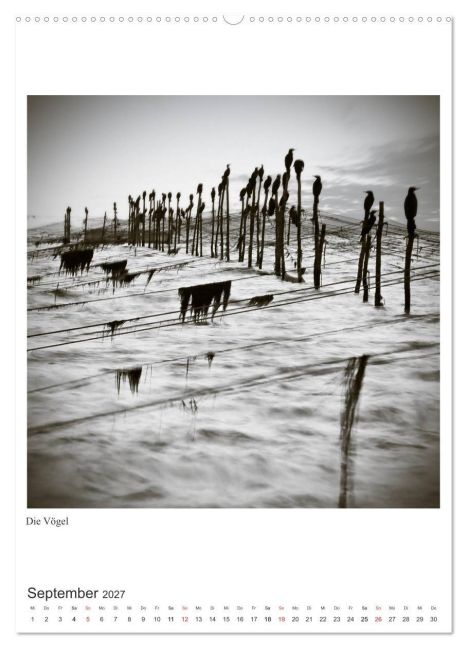 InsideView 14