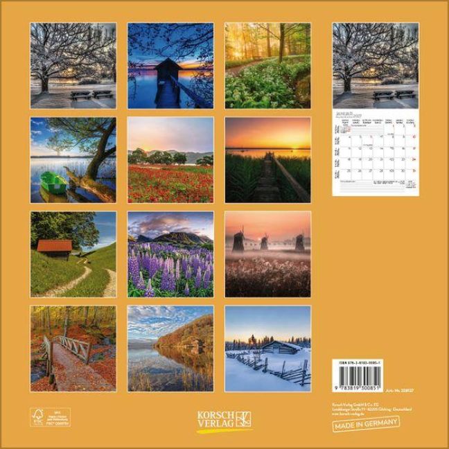 InsideView 13