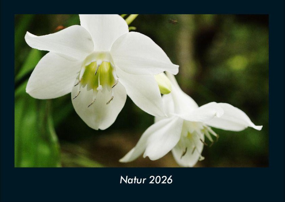 Natur 2026 Fotokalender DIN A4 - Tobias Becker
