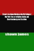 Shawn's Experience Working at the City College of New York- A lesson in Racism, Sexism, and Discrimination Against Black Men - Shawn James