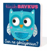 Cover-Bild zum Titel 'Kücük Baykus Sen Ne Görüyorsun' von 'Kolektif'