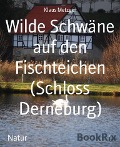 Wilde Schwäne auf den Fischteichen (Schloss Derneburg) - Klaus Metzger