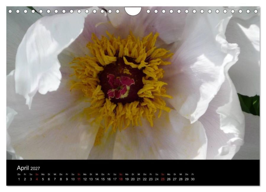 InsideView 9