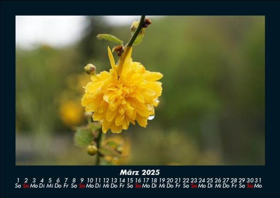 InsideView 7