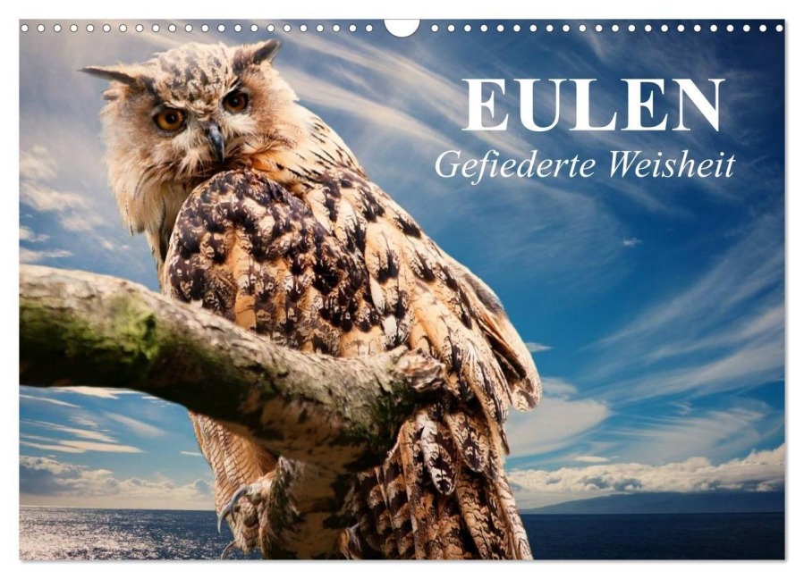 Eulen. Gefiederte Weisheit (Wandkalender 2027 DIN A3 quer), CALVENDO Monatskalender - Elisabeth Stanzer