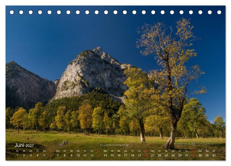 InsideView 11