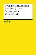 Grundkurs Philosophie Band 2. Metaphysik und Naturphilosophie - Wolfgang Detel