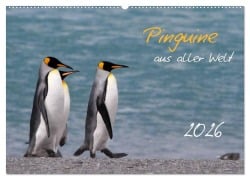 Pinguine aus aller Welt (Wandkalender 2026 DIN A2 quer), CALVENDO Monatskalender - Brigitte Schlögl