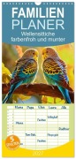 Cover-Bild zum Titel 'Familienplaner 2027 - Wellensittiche farbenfroh und munter mit 5 Spalten (Wandkalender, 21 x 45 cm) CALVENDO' von 'Peter Roder'