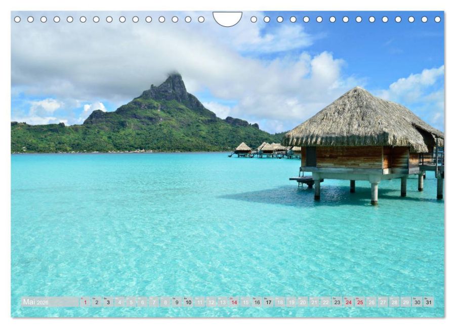 InsideView 10