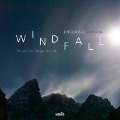 Windfall-Music by Helge Sunde - Ensemble Denada