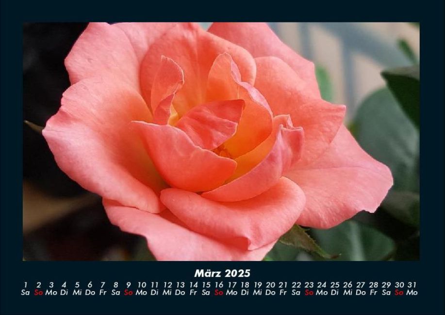 InsideView 7