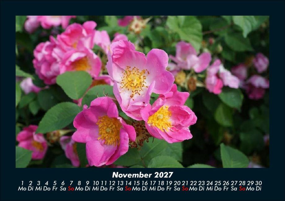 InsideView 3