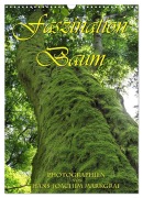 Faszination Baum (Wandkalender 2026 DIN A3 hoch), CALVENDO Monatskalender - Hans-Joachim Markgraf
