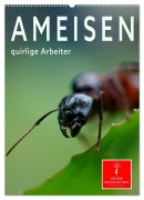 Cover-Bild zum Titel 'Ameisen quirlige Arbeiter (Wandkalender 2026 DIN A2 hoch), CALVENDO Monatskalender' von 'Peter Roder'