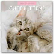Cute Kittens - Niedliche Kätzchen 2026 - 16-Monatskalender - Robin Red