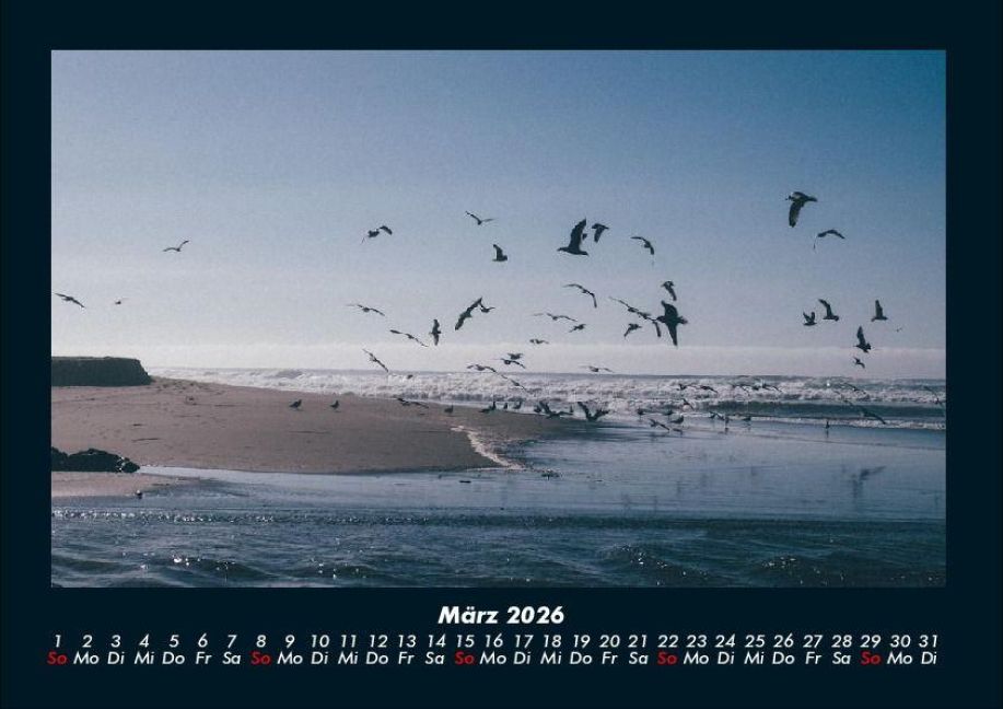 InsideView 7