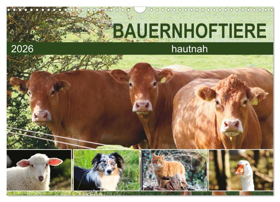 Bauernhoftiere hautnah (Wandkalender 2026 DIN A3 quer), CALVENDO Monatskalender - Sabine Löwer