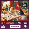Cover-Bild zum Titel 'Exploding Kittens Puzzle: Cats in Quarantine' von ''