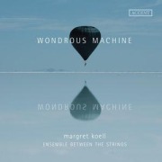Cover-Bild zum Titel 'Wondrous Machine' von 'Michele Pasotti Margret Koell'