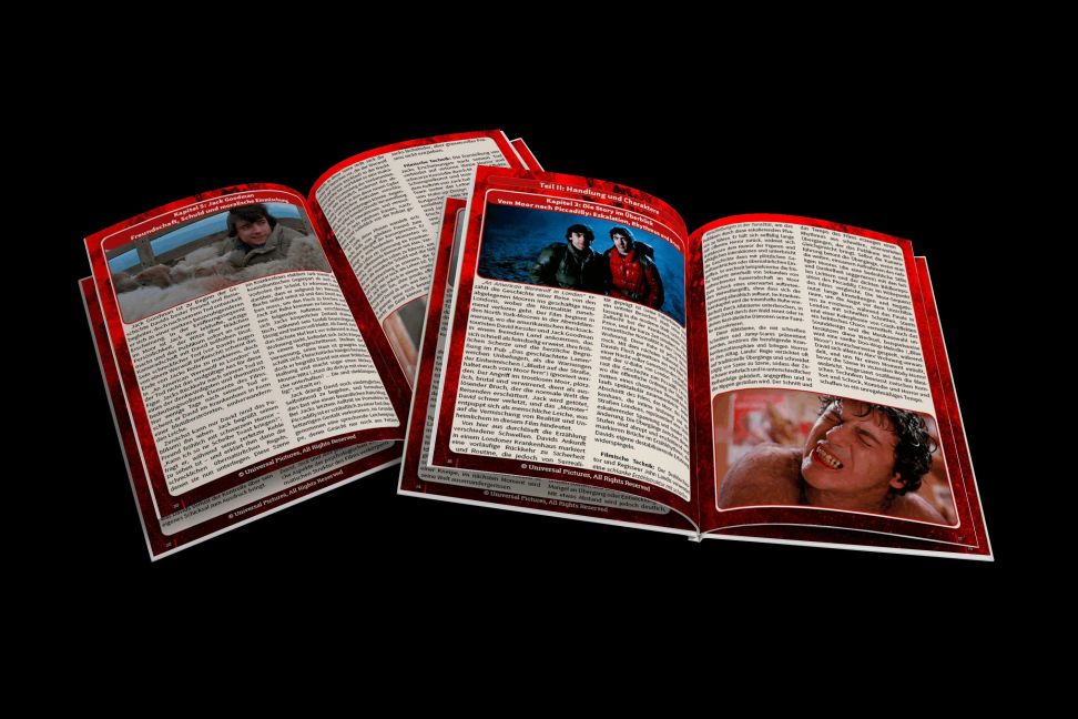 InsideView 1