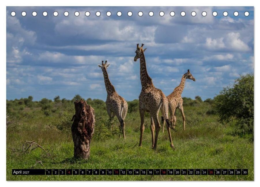 InsideView 9