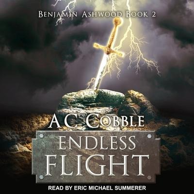 Endless Flight Lib/E - Ac Cobble