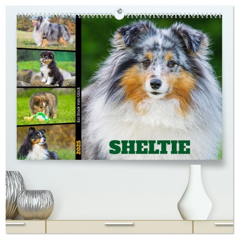 Sheltie - Ein Stück vom Glück (hochwertiger Premium Wandkalender 2025 DIN A2 quer), Kunstdruck in Hochglanz - Sigrid Starick