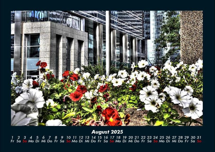InsideView 12