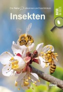 Cover-Bild zum Titel 'Insekten' von ''