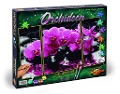 Cover-Bild zum Titel 'Schipper Malen nach Zahlen - Orchideen (Triptychon)' von ''