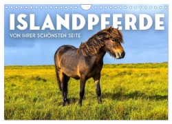 Cover-Bild zum Titel 'Islandpferde - Von ihrer schönsten Seite (Wandkalender 2026 DIN A4 quer), CALVENDO Monatskalender' von 'Sf Sf'