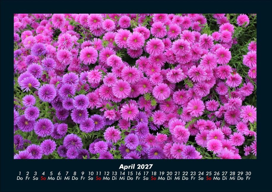 InsideView 8