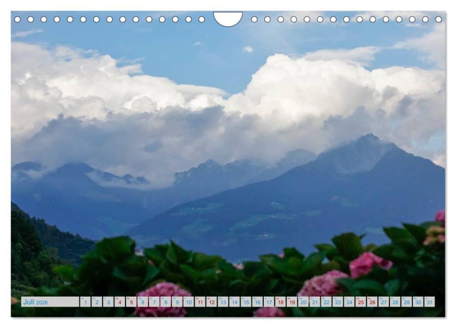 InsideView 12