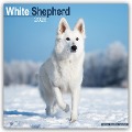 White German Shepherd - Weißer Schäferhund 2025 - 16-Monatskalender - Avonside Publishing Ltd.