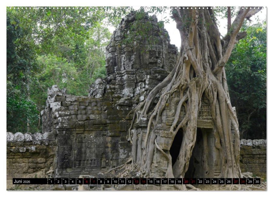 InsideView 11