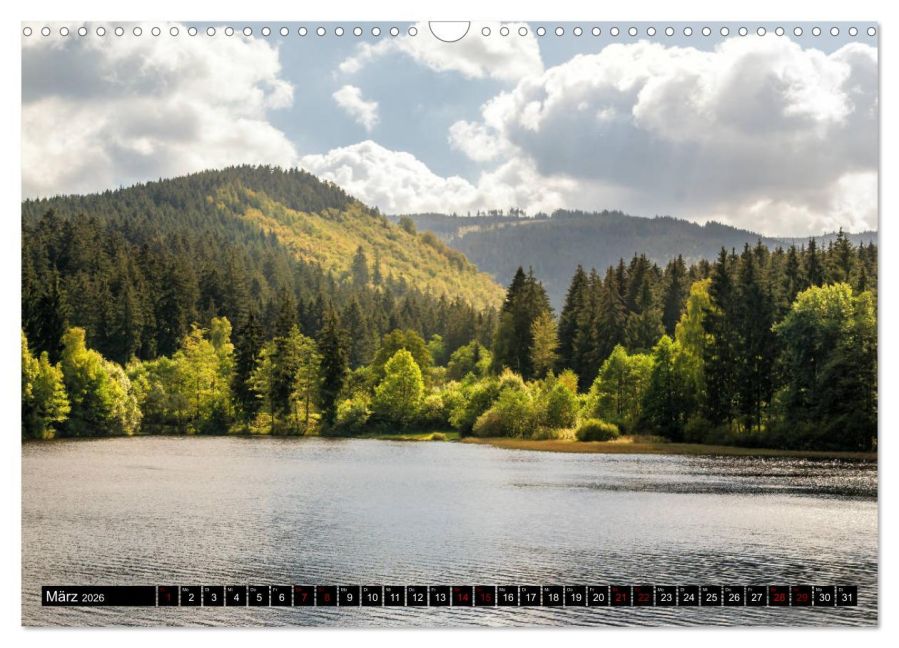 InsideView 8