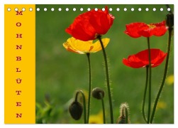 Cover-Bild zum Titel 'MOHNBLÜTEN (Tischkalender 2026 DIN A5 quer), CALVENDO Monatskalender' von 'Gugigei Gugigei'