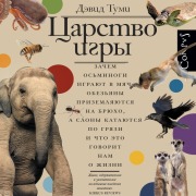 Cover-Bild zum Titel 'Tsarstvo igry' von 'David Toomey'